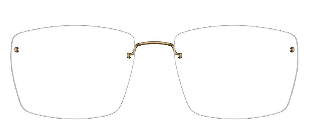 2534 Lindberg okulary